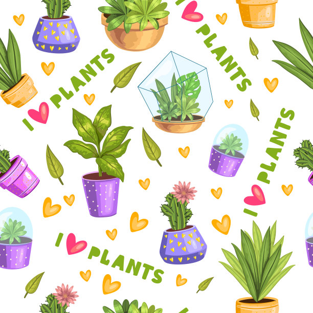 病媒stock热带无缝模式与多肉植物和仙人掌在florariums和盆。图片下载