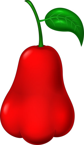 卡通水苹果水果矢量插图图片下载