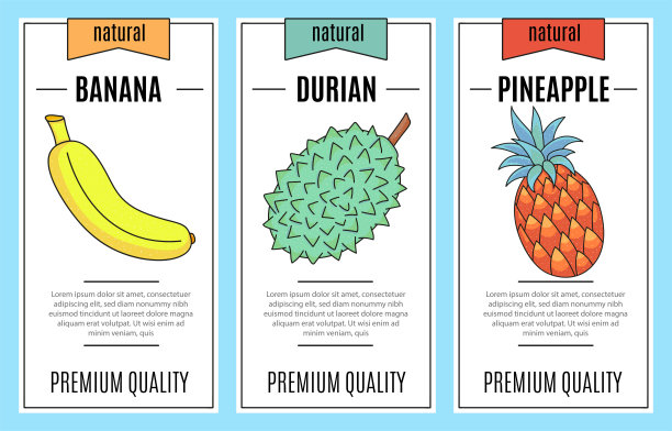 新鲜水果旗帜套装。香蕉、榴莲、菠萝。矢量插图。饮食设计。图片下载