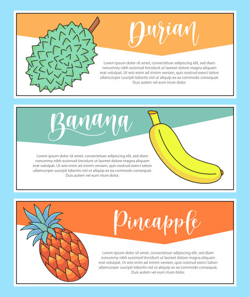 新鲜水果旗帜套装。榴莲，香蕉，菠萝-文字和插图。矢量库存食品和饮料设计。图片下载