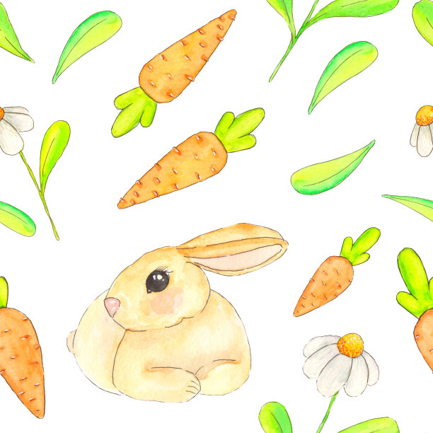 水彩在白色的雏菊、兔子、胡萝卜和树叶的背景上绘制了春天无缝的图案。图片下载