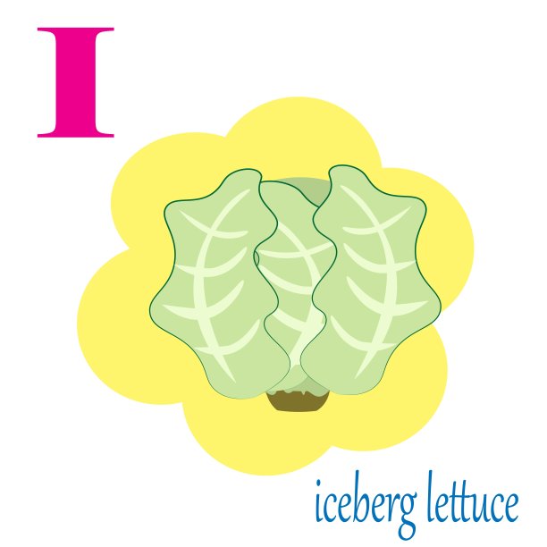 I是冰山莴苣插图字母海报图片下载