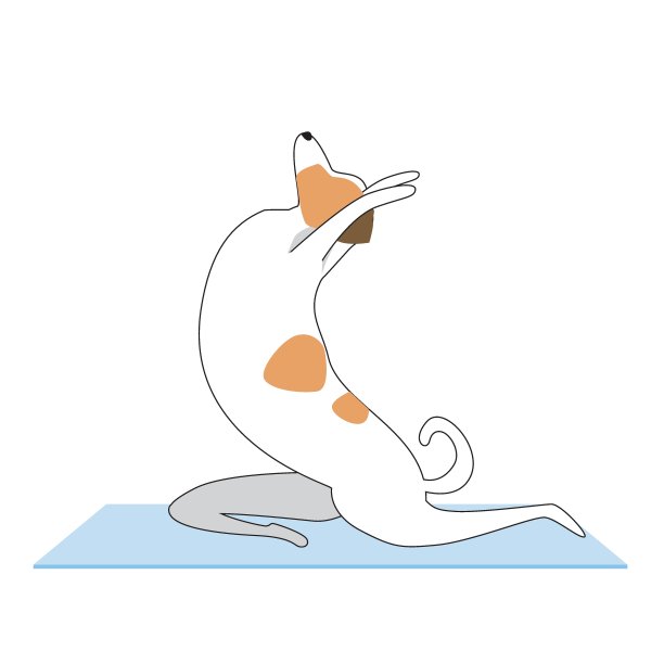 杰克罗素梗演示体式作为瑜伽概念，平面和轮廓矢量股票插图与狗或性格孤立在白色背景图片下载