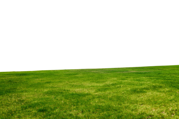 绿色的草地上的山孤立在白色的背景。图片下载