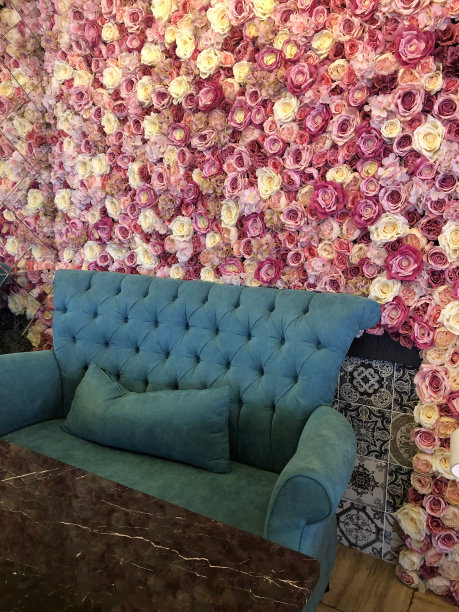 颜色鲜艳的玫瑰花图片下载