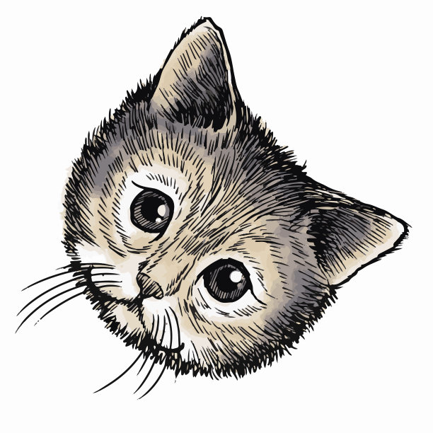 小猫手绘图片下载
