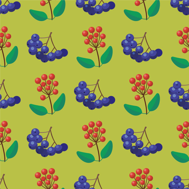 浆果无缝图案素食浆果图片下载