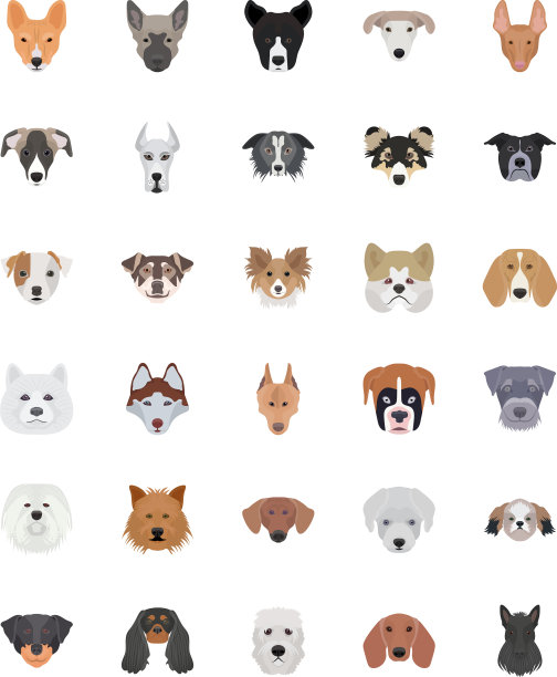 犬类品种扁平图标集图片下载