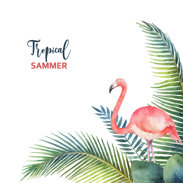 水彩卡的热带树叶和图片下载