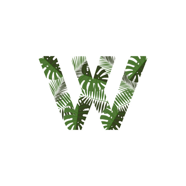 标志字母w热带树叶图片下载