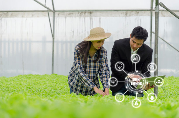农艺师女士亚洲农民检查新鲜的绿色橡树生菜沙拉，有机水培蔬菜与笔记本电脑在温室花园苗圃农场与视觉图标，智能农业，农业概念图片下载