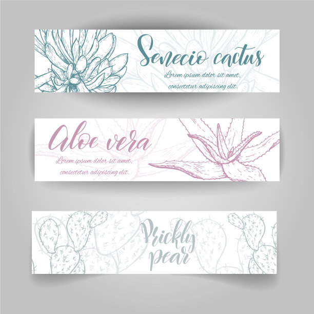 手绘仙人掌图片下载