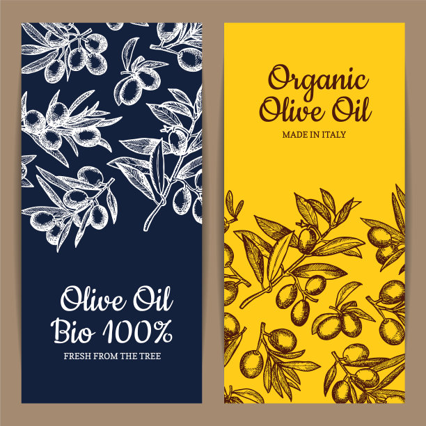 卡片或传单模板橄榄枝图片下载