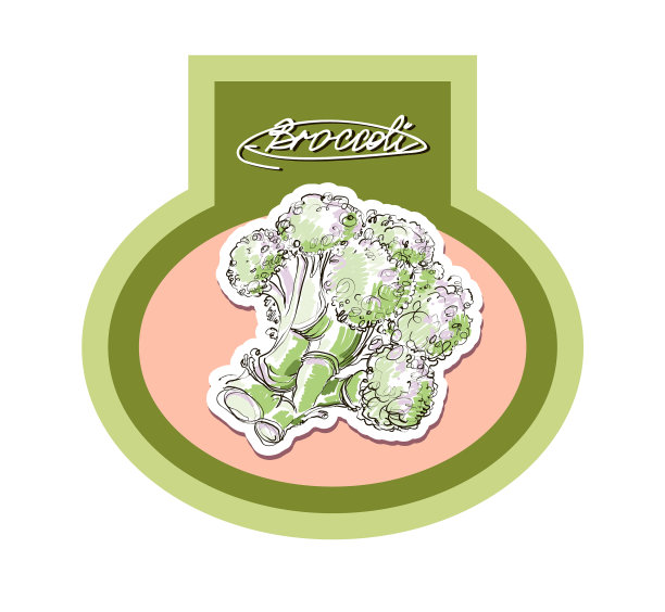 包心菜图图片下载