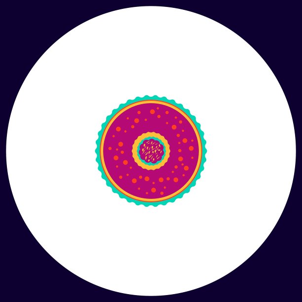 正上方白色背景下的彩色装饰照片图片下载