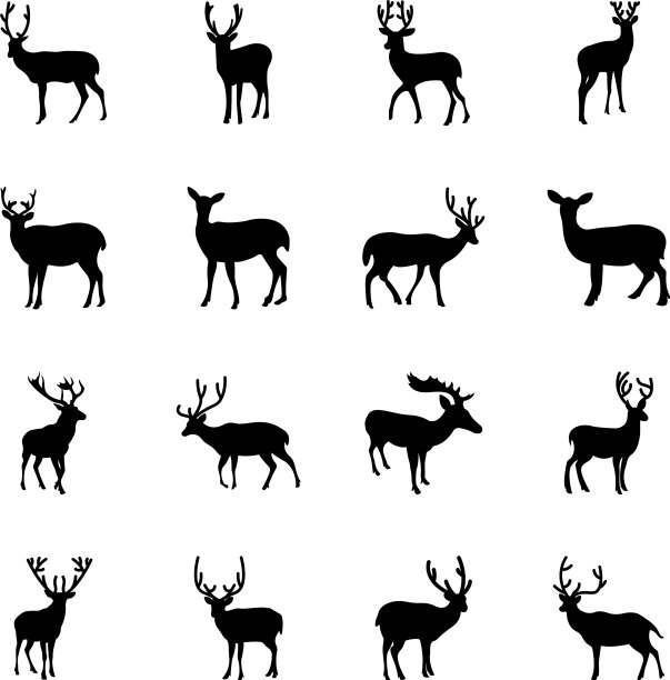 鹿轮廓集图片下载