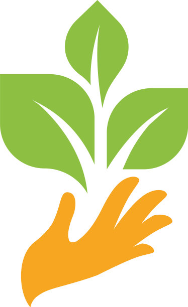 橙色的手与绿色的叶子发芽新的生命图片下载