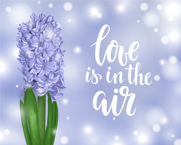 美丽的紫色风信子春天就在空气中图片下载