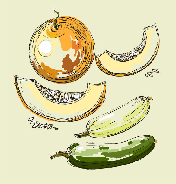 手绘甜瓜图片下载