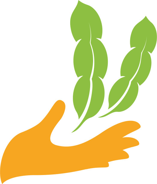 橙色棕榈与绿色大豆自然元素图片下载