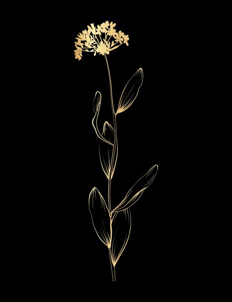 邀请卡的花卉背景图片下载