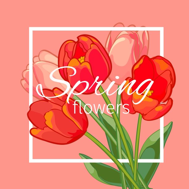 贺卡与盛开的郁金香花图片下载