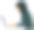 穆斯林女商人在电脑前工作图片下载