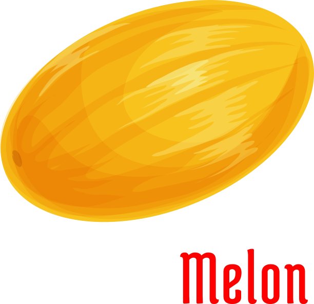 瓜果孤立图标为食品设计图片下载