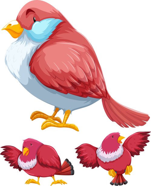3个动作中的粉色小鸟图片下载