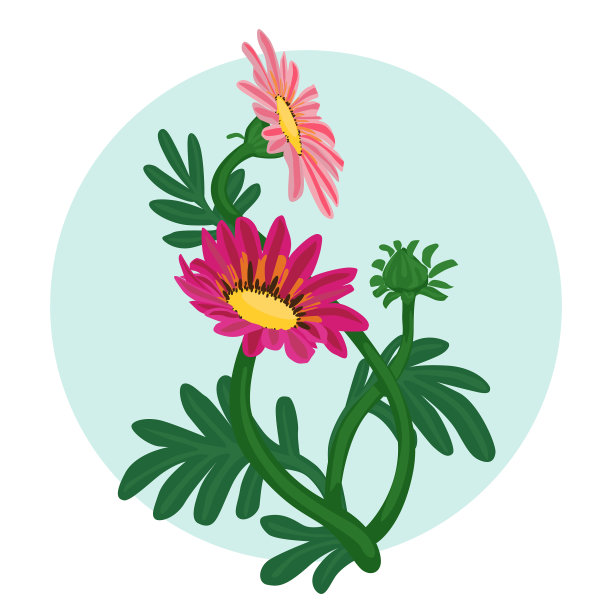 原产地鲜花孤立图片下载