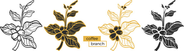 分支机构设置1图片下载