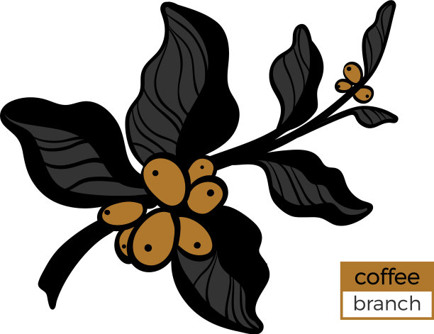 模板支咖啡3色3图片下载