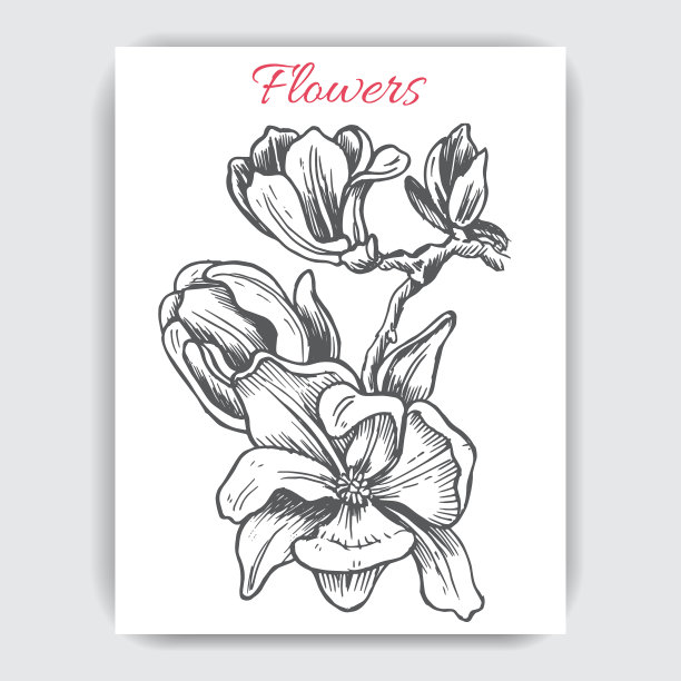 草图-带花的卡片图片下载