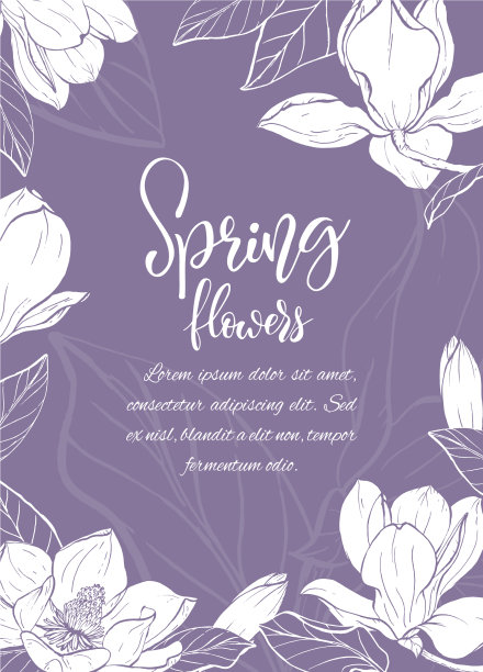 速写木兰花线形开花图片下载