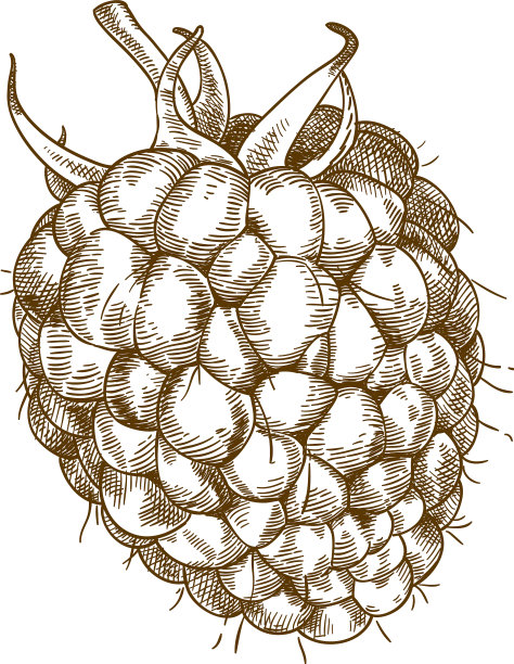 雕刻的覆盆子图片下载