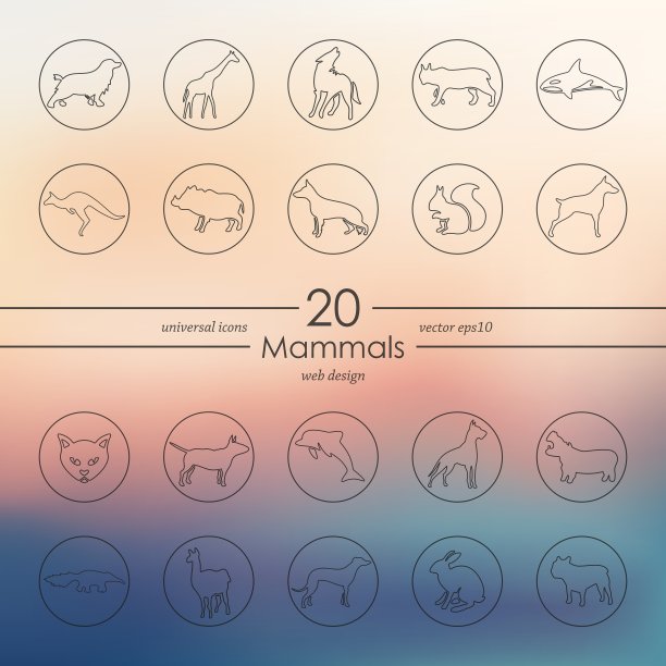 哺乳动物图标集图片下载