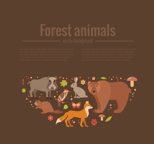 森林动物组图片下载