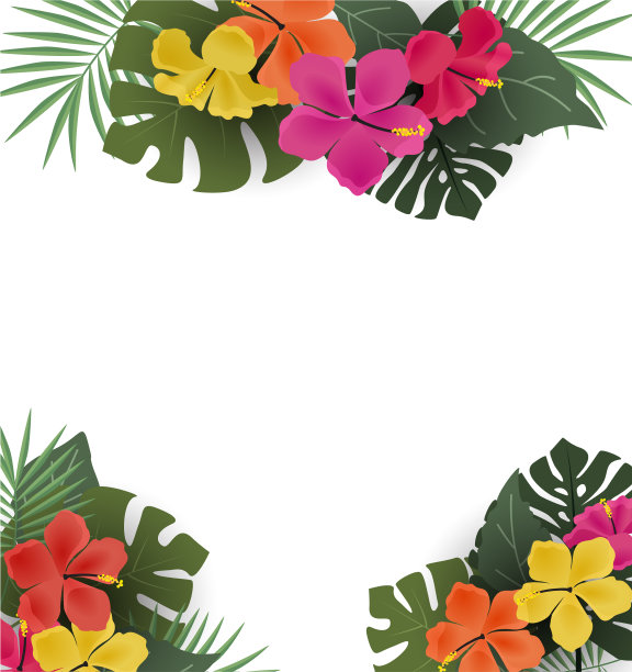 热带花卉背景图片下载