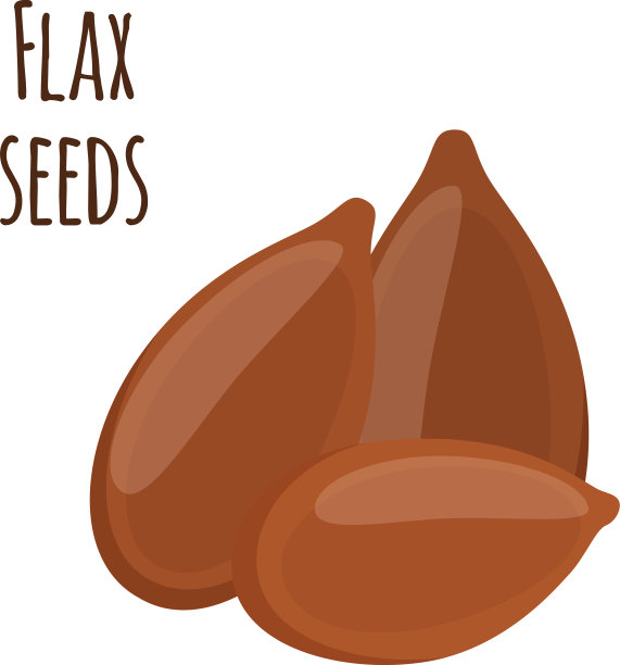 亚麻籽，亚麻籽，棕色籽，有机素食者图片下载