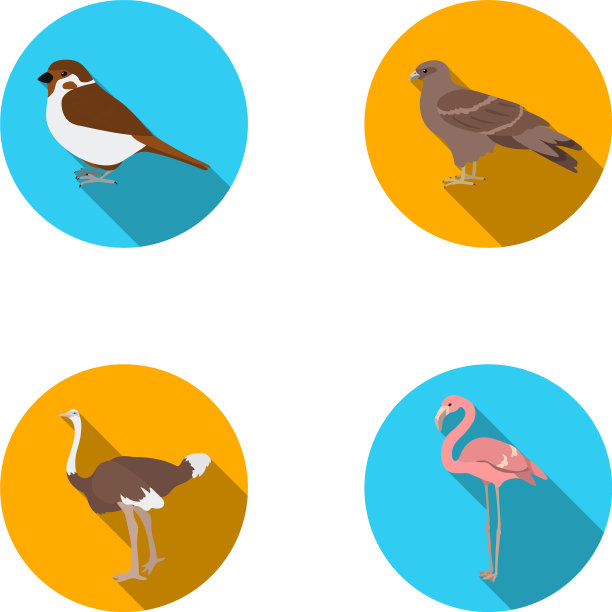 麻雀等鸟类集种图片下载