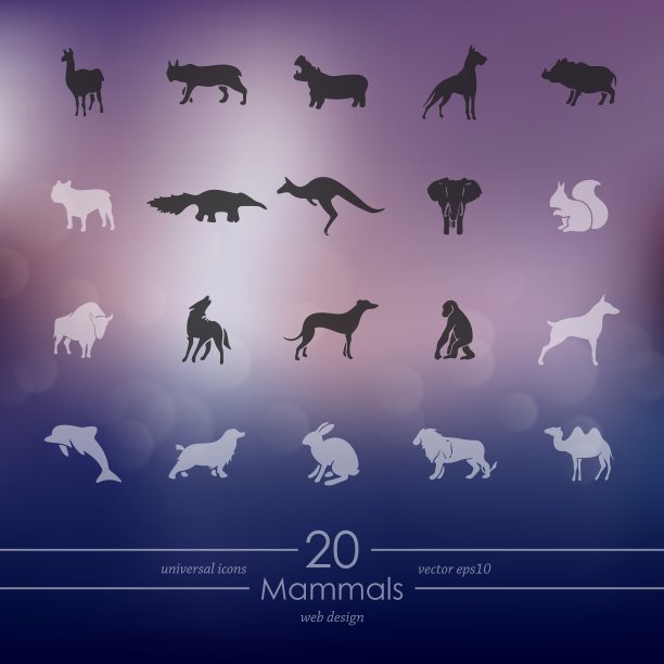 哺乳动物图标集图片下载