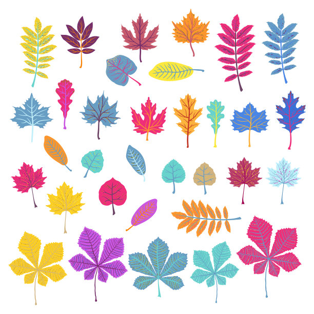 一套橙色粉蓝色的叶子在白色上图片下载