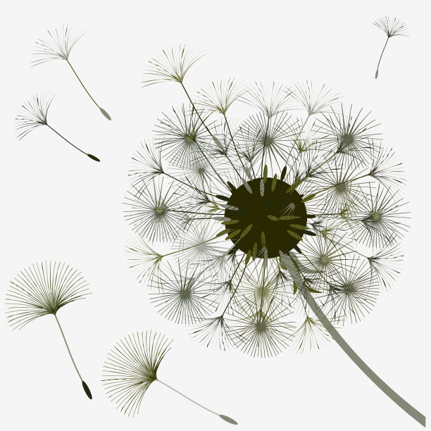 抽象的蒲公英背景设计图片下载