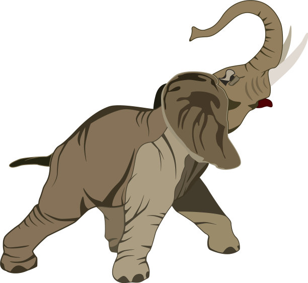 亚洲象扁图片下载