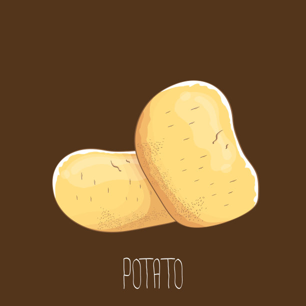 有趣的卡通可爱的棕色土豆套装图片下载