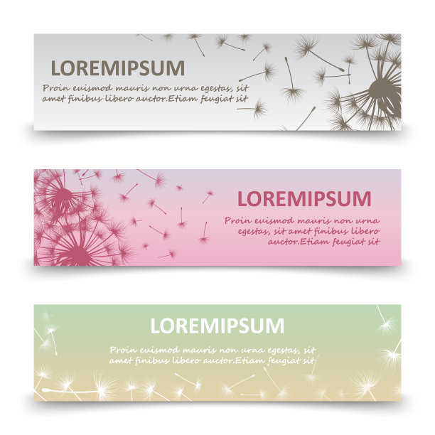 横横幅蒲公英剪影和图片下载