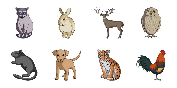 逼真的动物图标集合图片下载