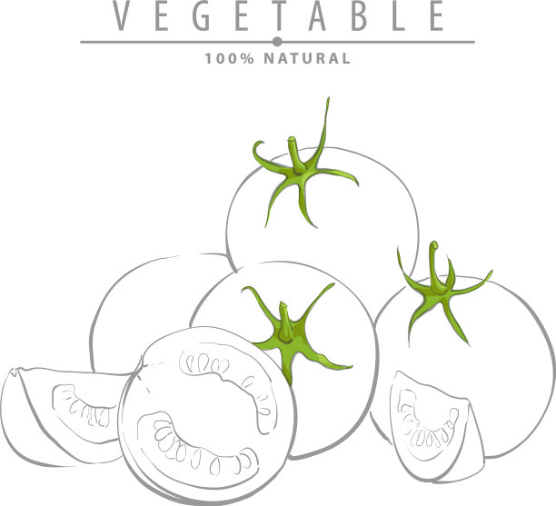 新鲜成熟的西红柿图片下载