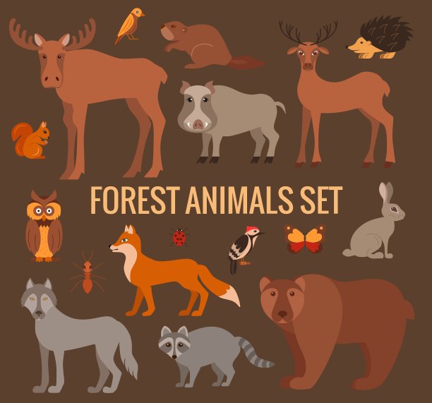 森林动物组图片下载