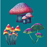 高质量的梦幻蘑菇套装图片下载